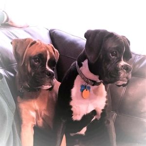 Meet your Posher, JenK